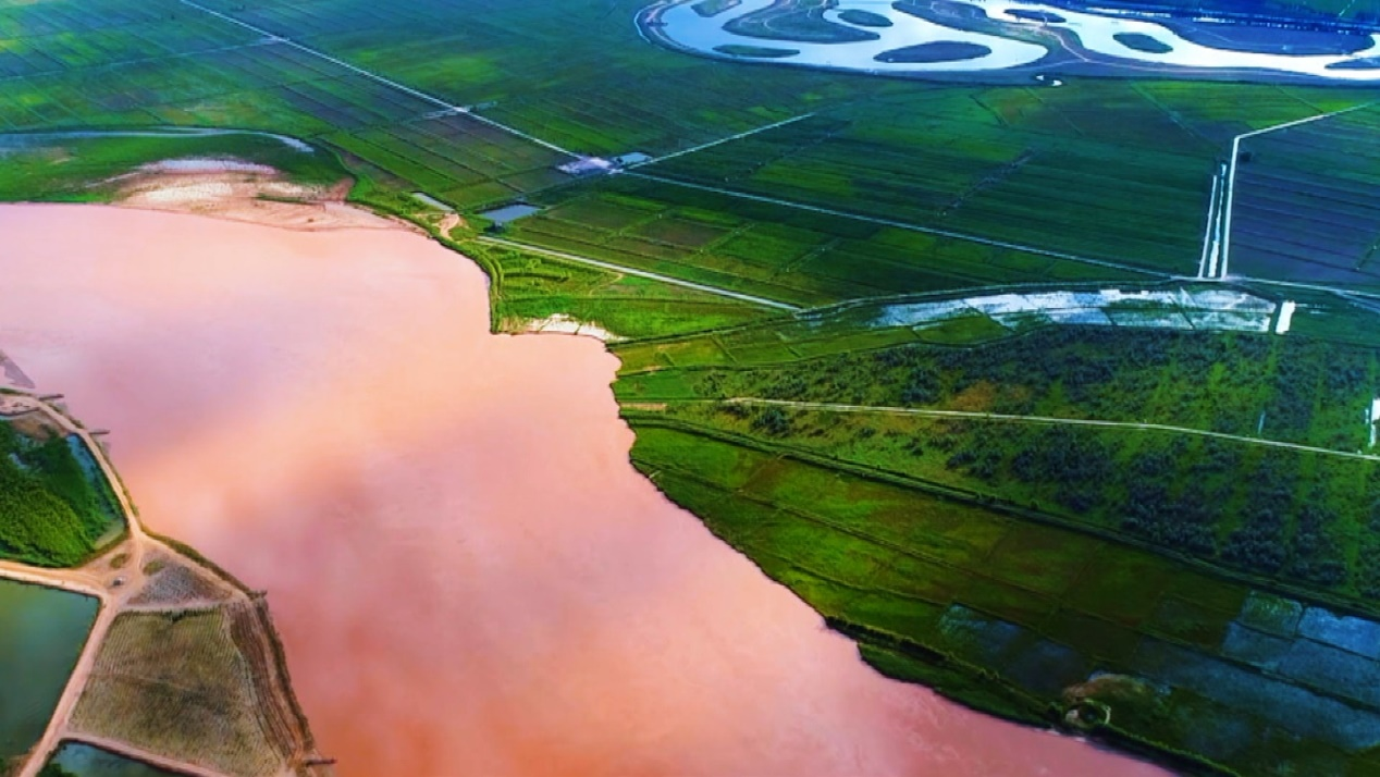黄河岸边的翡翠——宁夏风情画卷